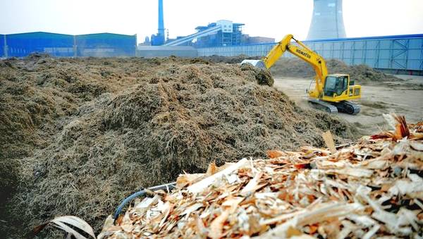 大城縣生物質發電公司料場正在垛料操作 大城縣生物質發電公司料場正在垛料操作