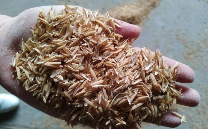 稻殼顆粒機(jī)原料稻殼 稻殼顆粒機(jī)原料稻殼