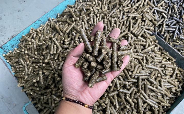 貴州省習水縣桃林鎮：燃料化利用，讓秸稈變廢為寶