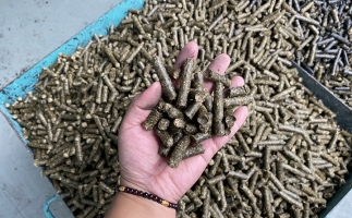 木屑顆粒機(jī)廠家告訴你生物質(zhì)顆粒燃料燃燒不充分的問題,該如何解決?