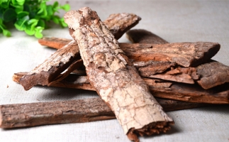 木材加工廠的廢棄物刨花能夠用來做什么？鋸末顆粒機告訴你