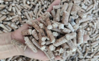 木材加工廠木屑堆積如山，環保部門令趕緊處理怎么辦？有它就夠了